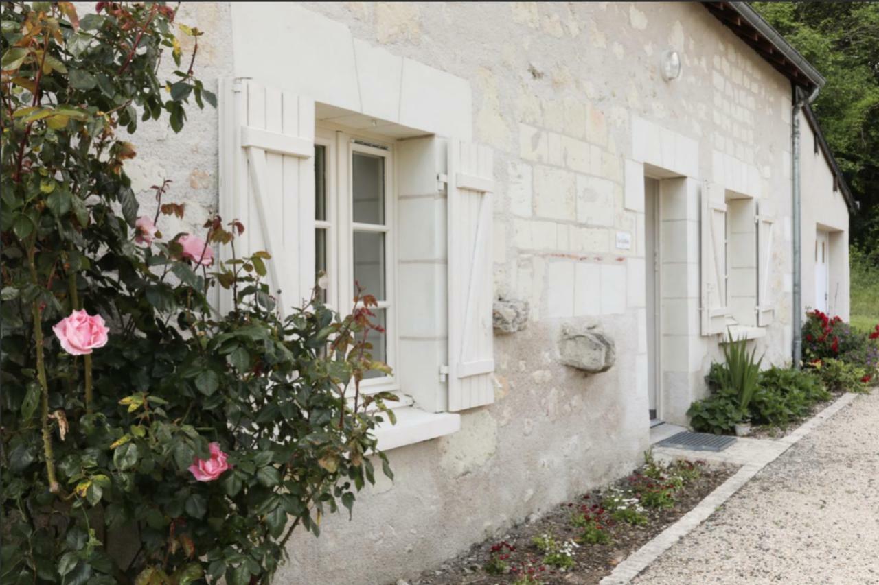 Maison d'hôtes La Caillère à Gizeux Extérieur photo